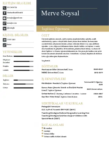 Yabancı Dil Öğretmeni Cv Örnekleri cv indir